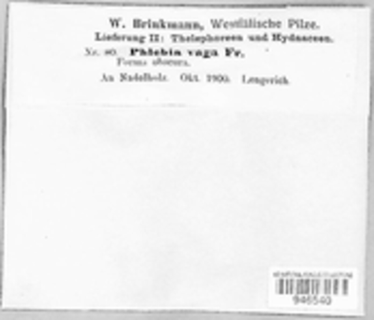 Xenasmatella vaga image